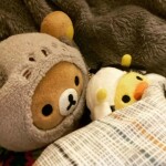 규령님의 프로필 이미지