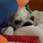 사이다님의 프로필 이미지