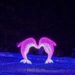 쏘이님의 프로필 이미지