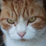 김용휘님의 프로필 이미지