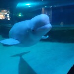 박민지님의 프로필 이미지